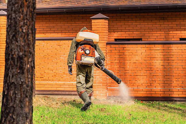 Bed Bug Clearance Verification and Documentation in Hubbard